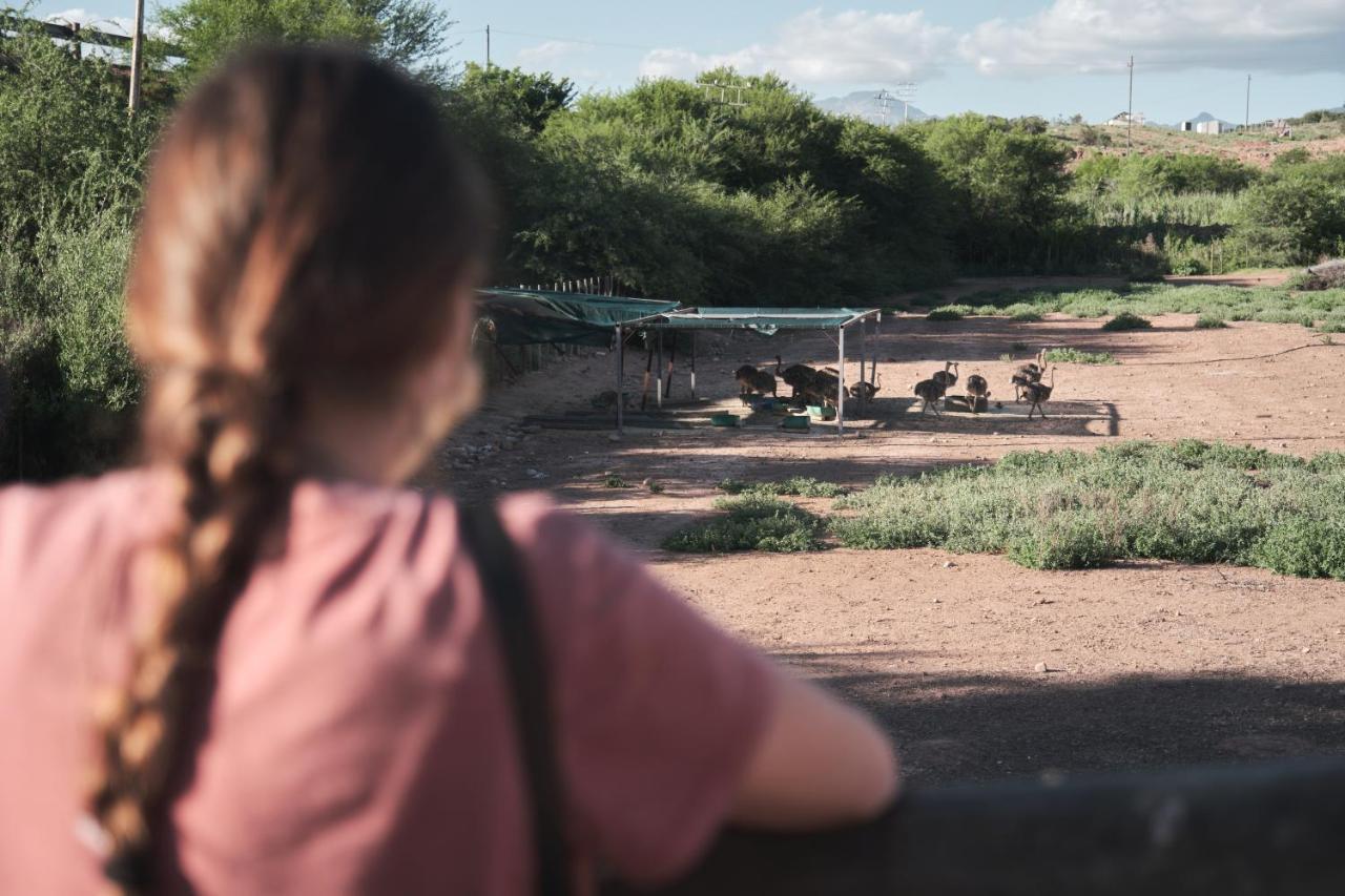 Africamps Klein Karoo Villa Oudtshoorn Ngoại thất bức ảnh